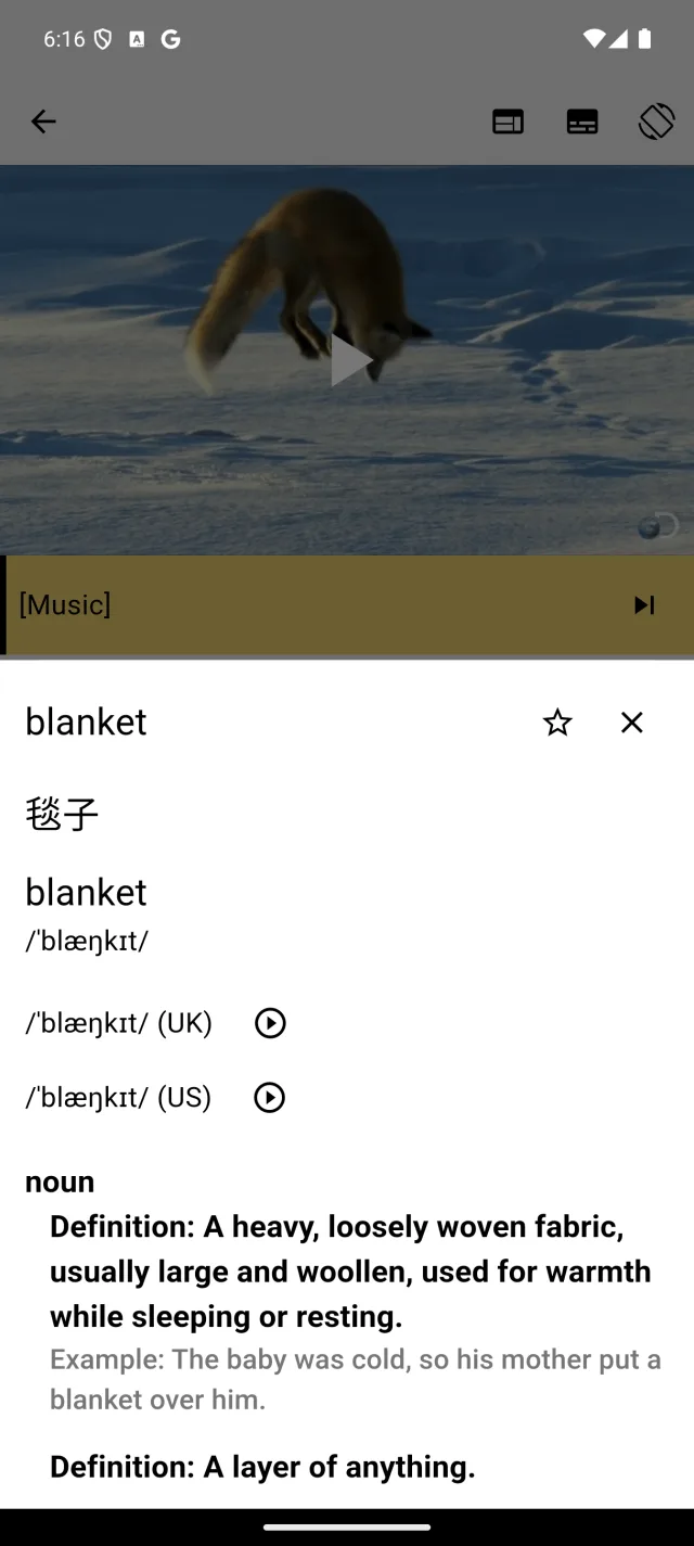单词查询